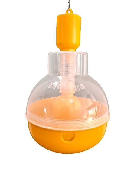 Female Fruit Fly Trap